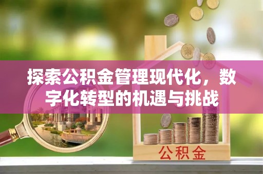 牧野探索公积金管理现代化，数字化转型的机遇与挑战