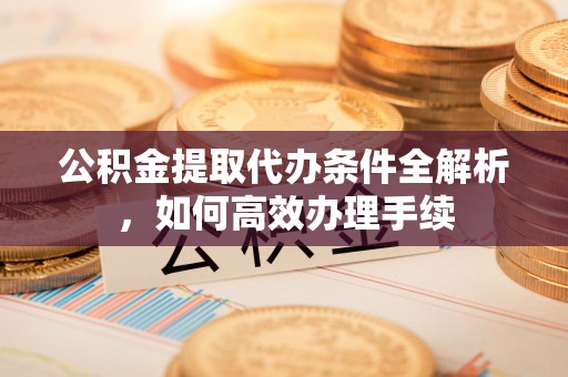 牧野公积金提取代办条件全解析，如何高效办理手续