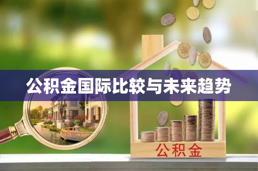 牧野公积金国际比较与未来趋势