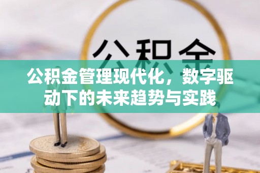 牧野公积金管理现代化，数字驱动下的未来趋势与实践