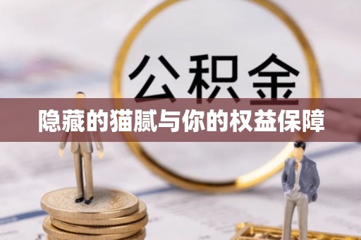 牧野隐藏的猫腻与你的权益保障