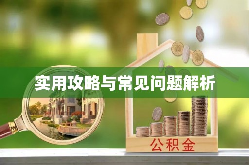 牧野实用攻略与常见问题解析