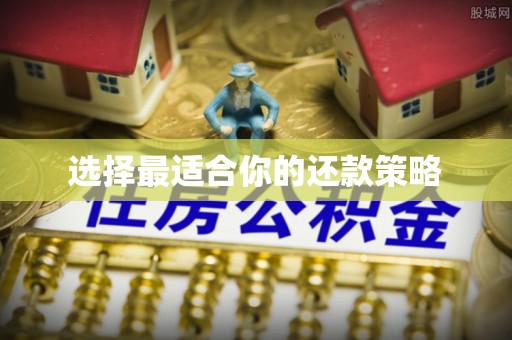 牧野选择最适合你的还款策略