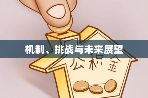 牧野机制、挑战与未来展望